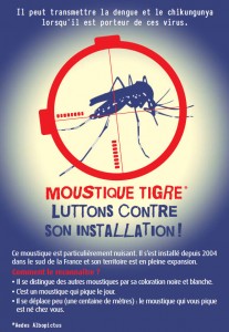 moustique-affiche-1